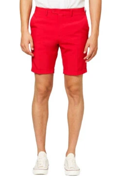 Opposuits Verkleedpak Zomer Stars And Stripes Heren Polyester -Beter Kinderspeelgoed opposuits verkleeedpak zomer stars and stripes heren polyester mt 46 5 420149 1592474713