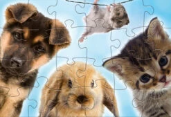 Legpuzzel Babydieren Junior 24/24 Stukjes 7 Legpuzzel Babydieren Junior 24/24 Stukjes -Beter Kinderspeelgoed rebo productions legpuzzel babydieren junior 48 stukjes 3 1007298 1641465967